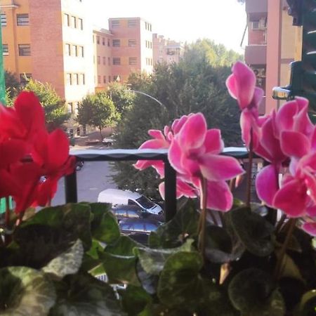 Casetta Del Quadraro Roma Ngoại thất bức ảnh